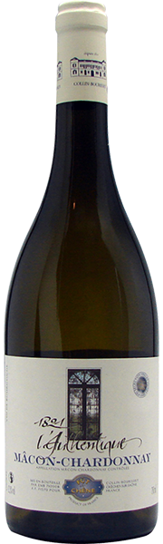 L'Authentique Mâcon-Chardonnay, Vieilles Vignes, Collin Bourisset 2021 –  Store – BELVINO.BE | Kwaliteitswijnen voor ieders budget