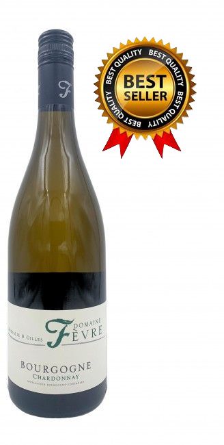 Domaine Nathalie et Gilles Fèvre Bourgogne Chardonnay 2023