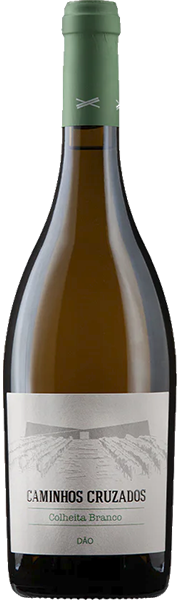 Caminhos Cruzados Branco 2023