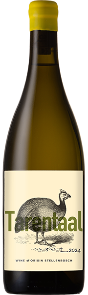 Tarentaal White, Polkadraai 2024