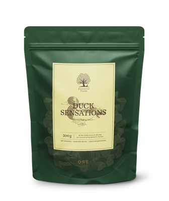 Duck Sensations