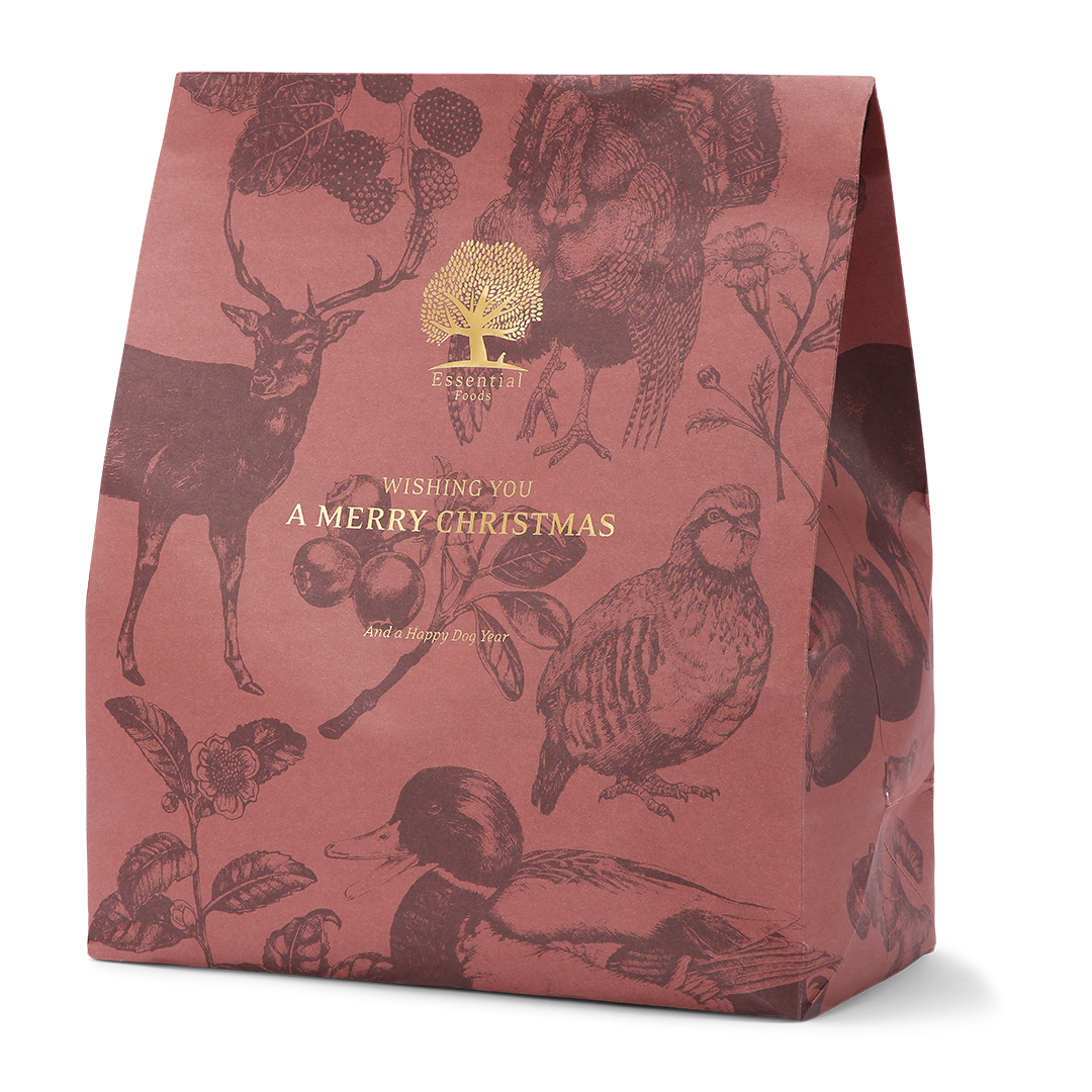 The Christmas Present