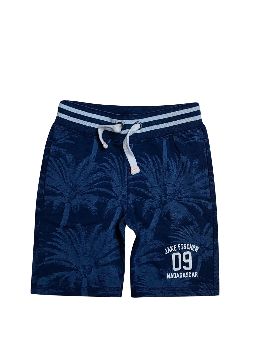 Short &quot;09 Madagascar&quot; Jake Fischer Blauw Bedrukt