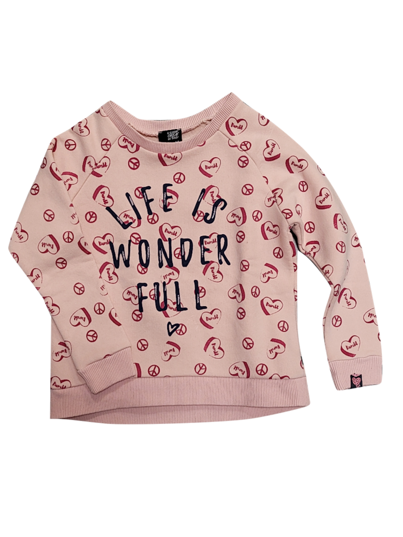 Sweater &quot;Life Is Wonderfull&quot; Rumbl Roos