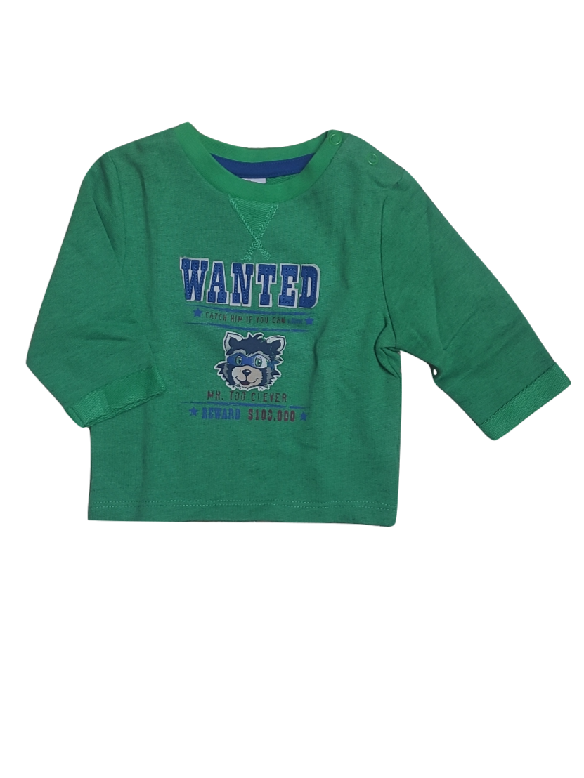 Sweater &quot;Wanted&quot; S-Oliver Groen