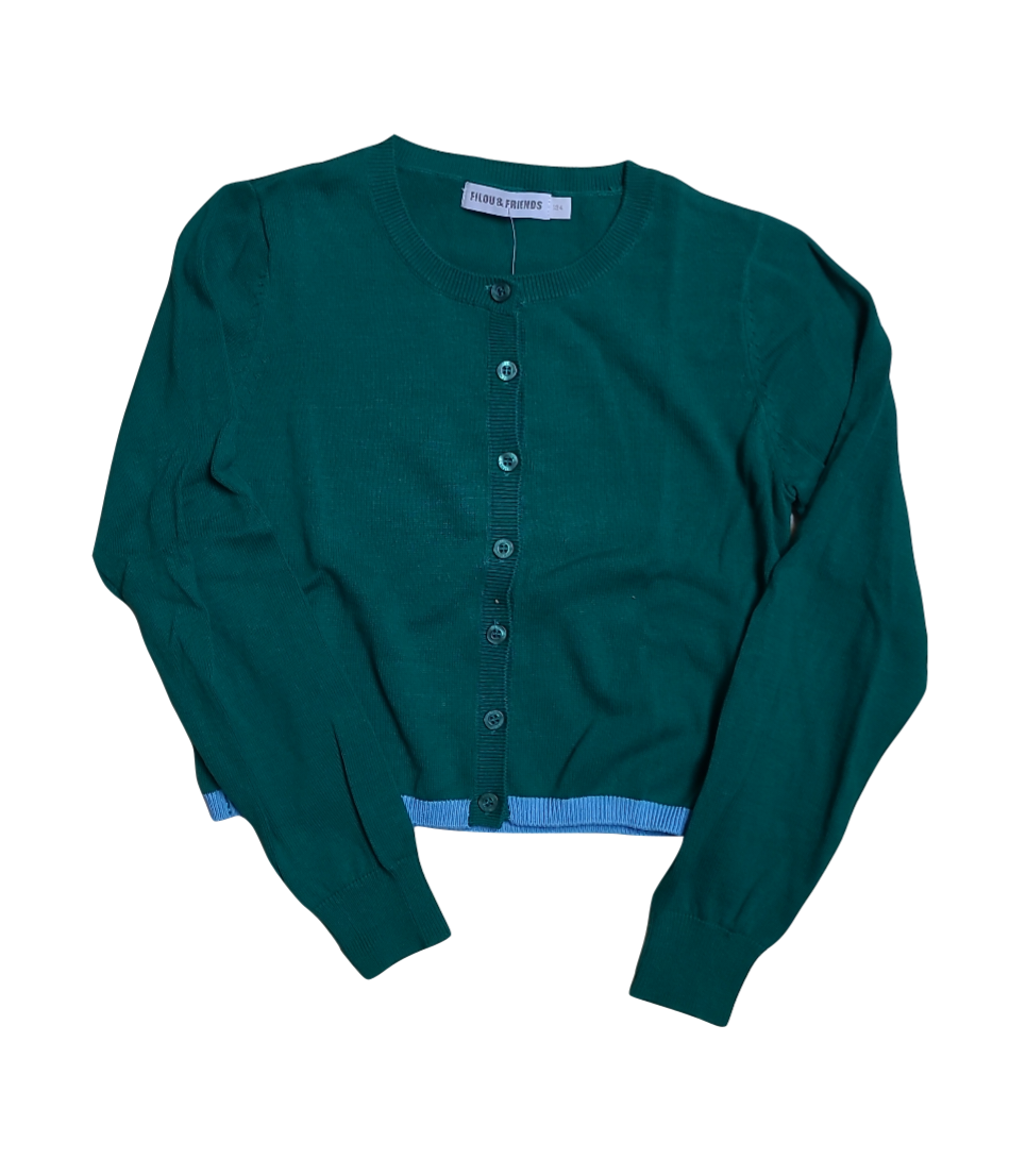 Gilet Tricot Filou &amp; Friends Groen