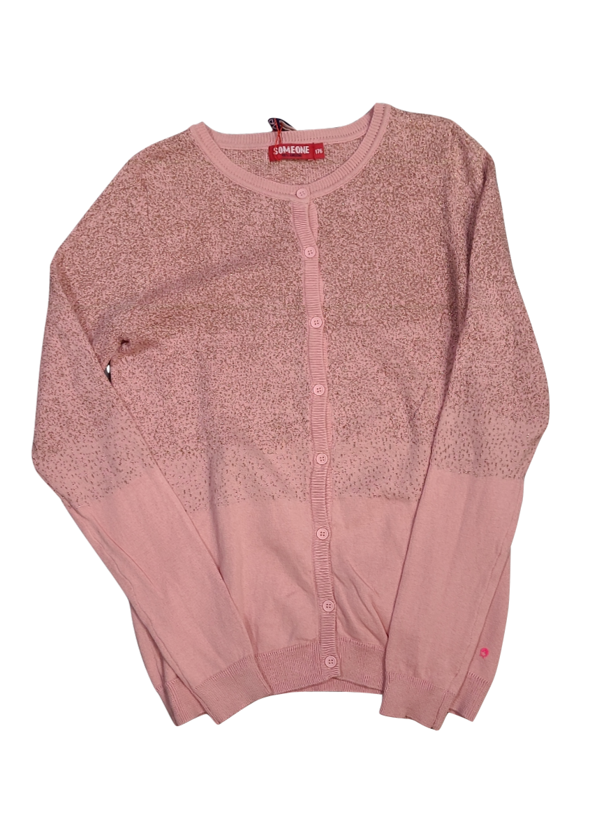 Gilet Glitter Someone Oudroze