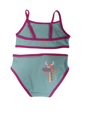 Bikini "Dragon" Woody Mint