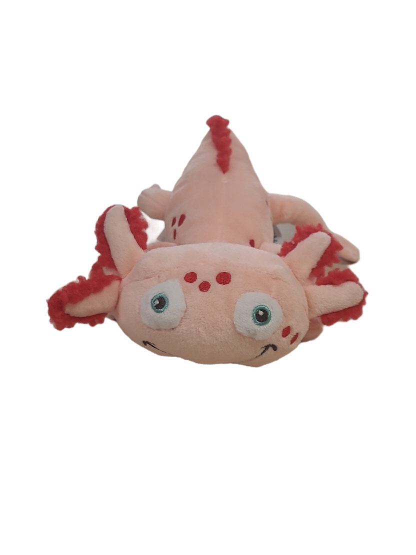 Axolotl Medium +- 20cm