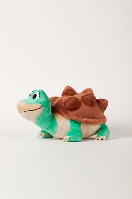 Schildpad Medium +-20cm