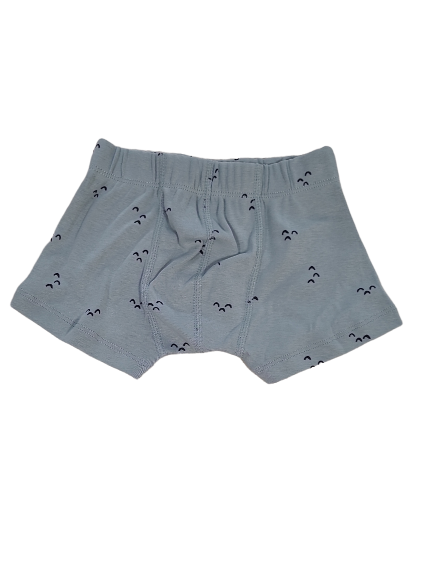 Jongens Boxers Trixie Grijs/Blauw Bedrukt 2 st