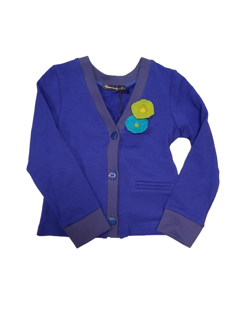 Gilet Strass Blauw