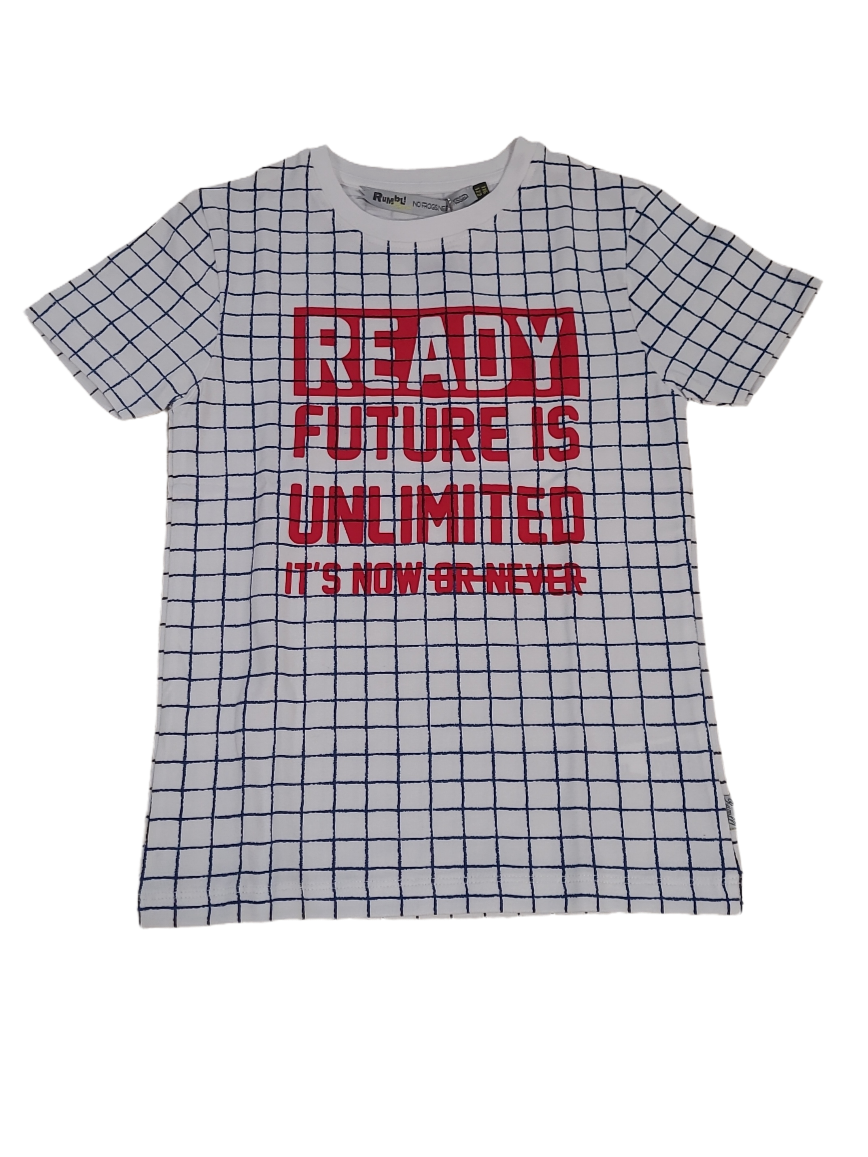 T-shirt &quot;Ready&quot; Rumbl Wit/Blauw Geruit