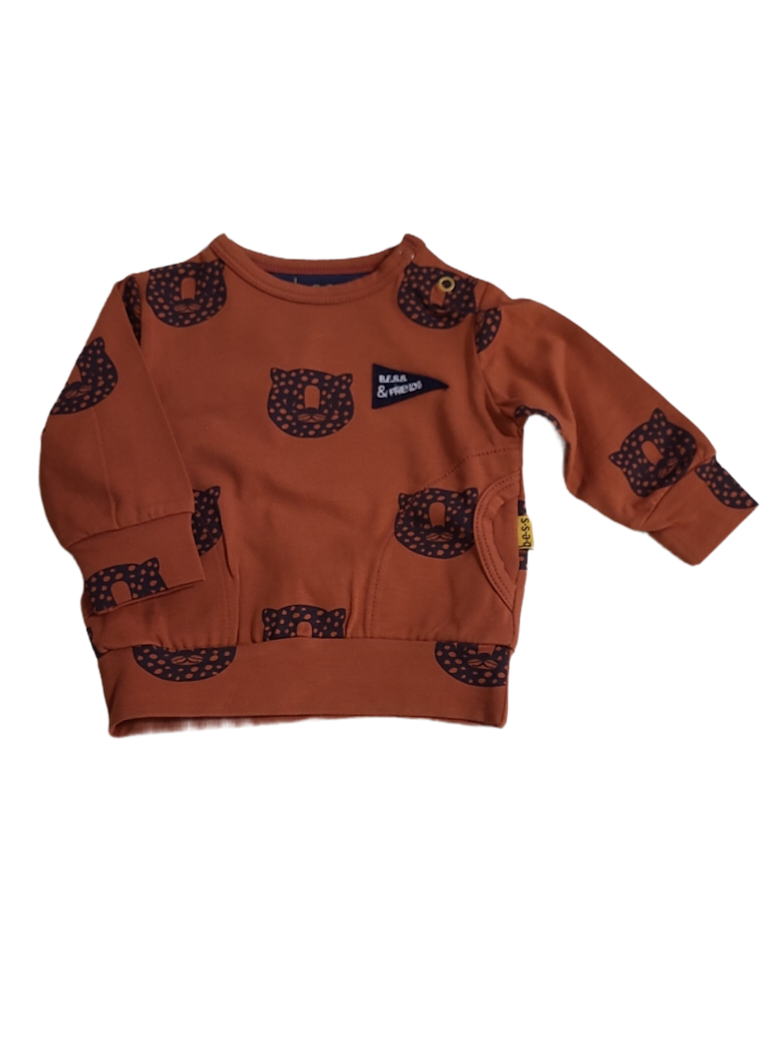 Sweater &quot;Tiger&quot; Bess Roest