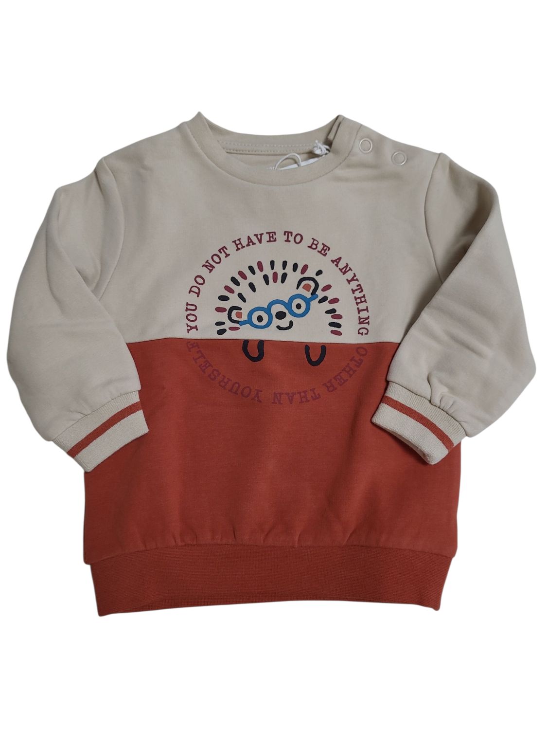 Sweater &quot;You Do Not Have....&quot; S-Oliver Beige/Terra