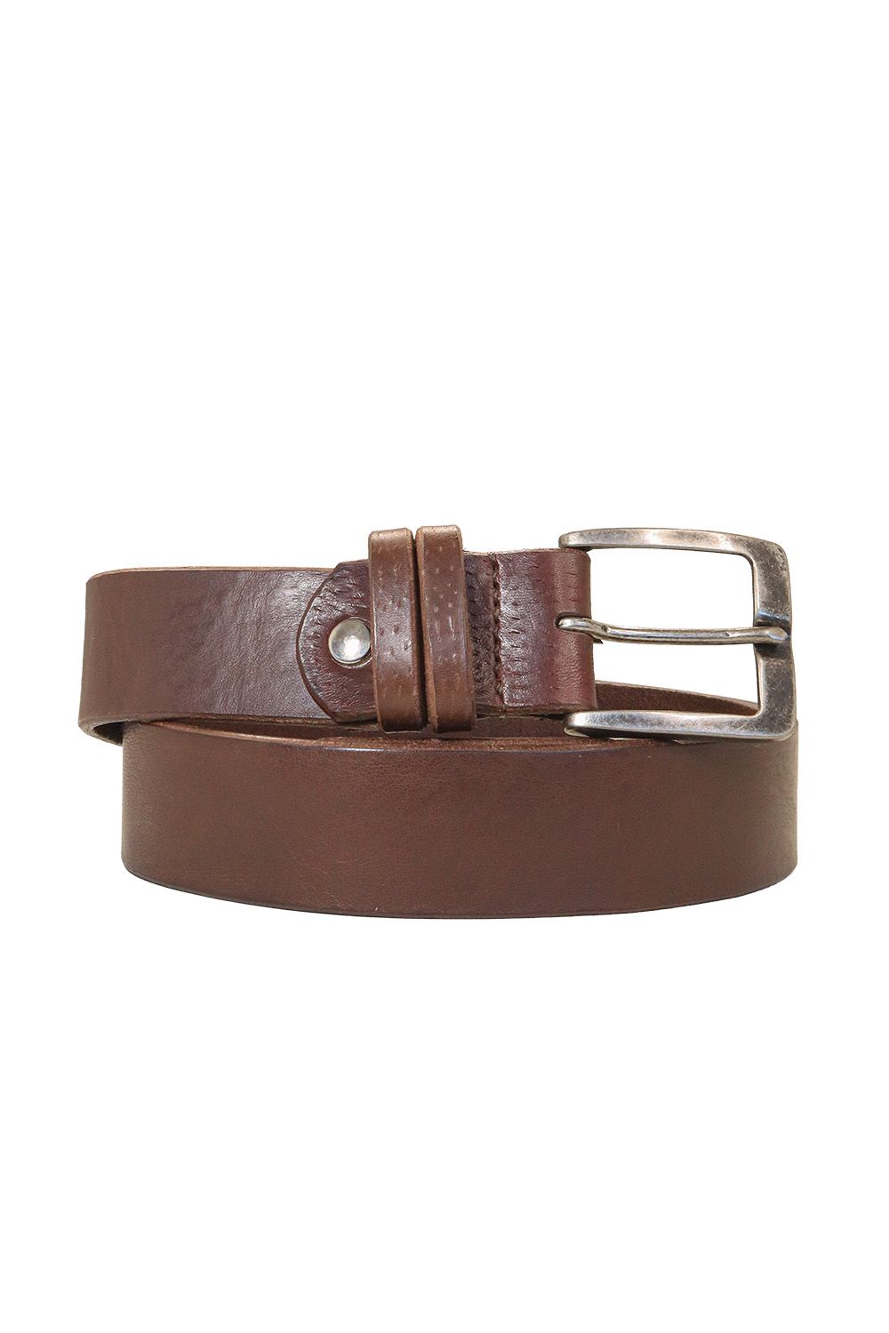 The Workhorse, Kleur riem: Donkerbruin met print
