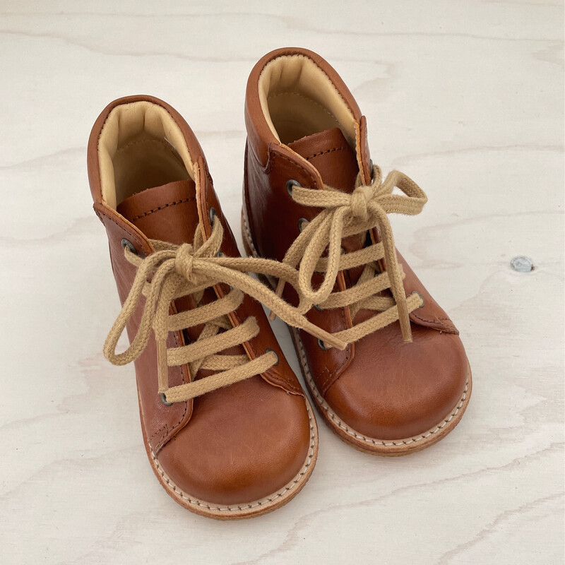 ANGULUS - Eerste Stapper - Cognac