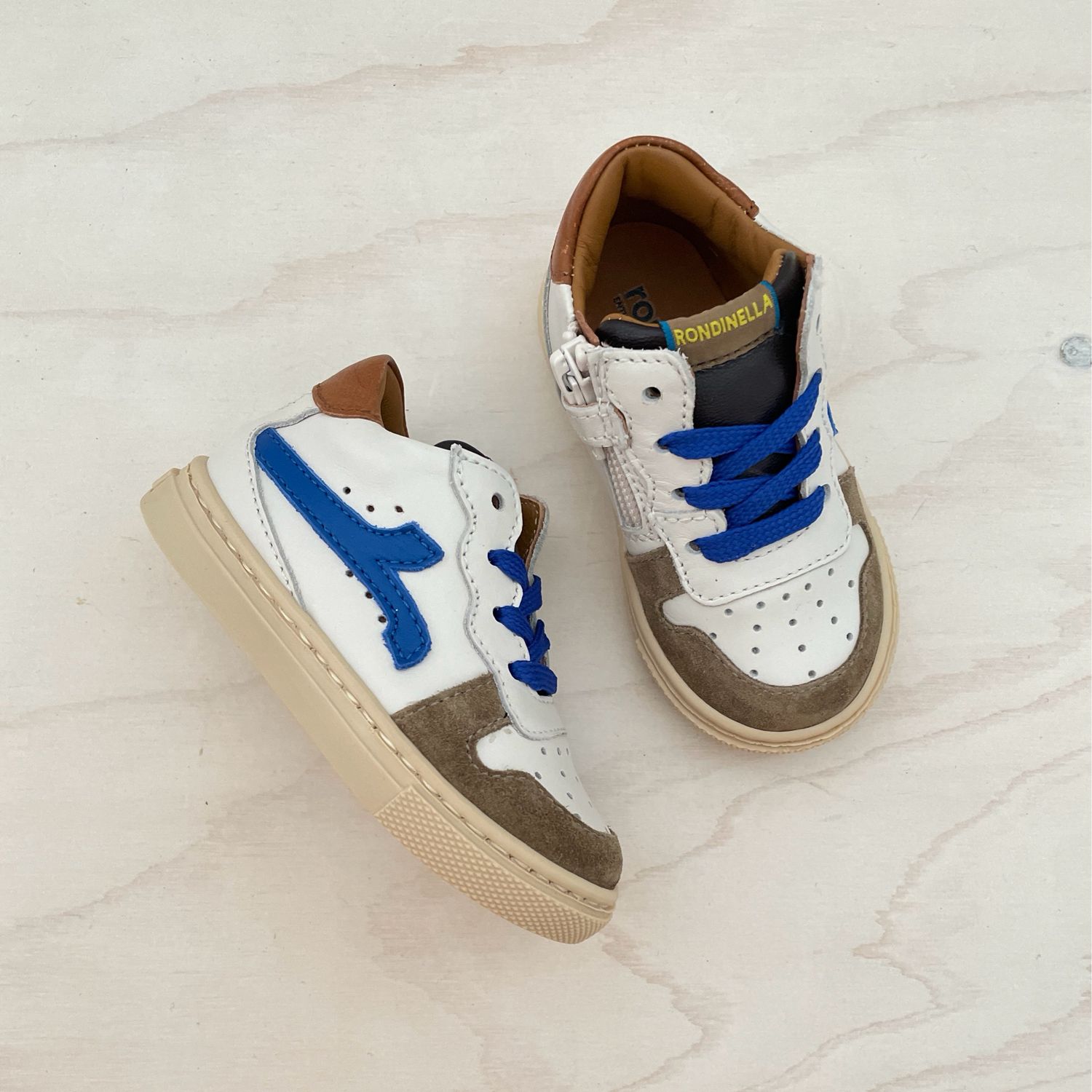RONDINELLA - Sneaker mini - Taupe Kobalt