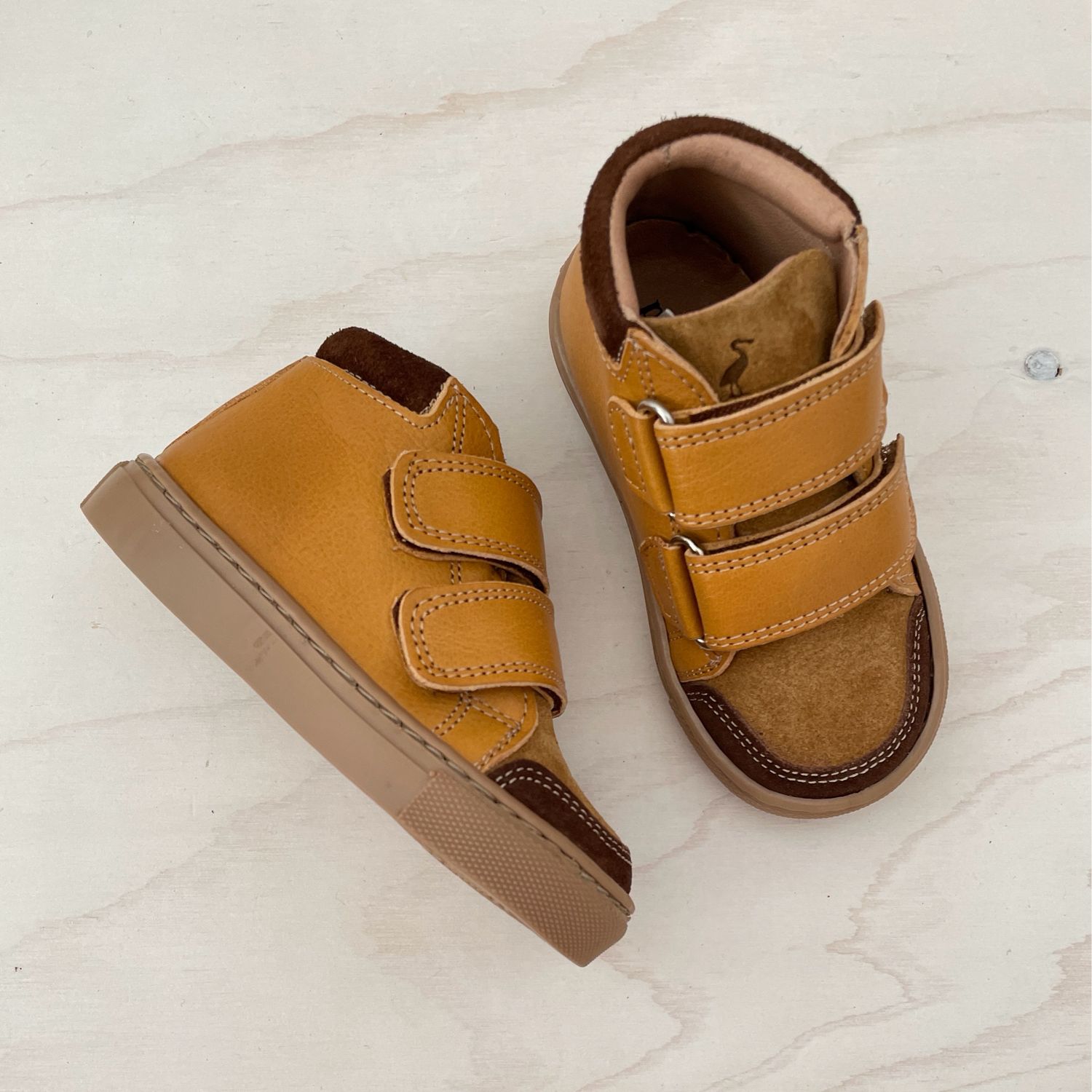 PETIT NORD - Schoen velcro - Honey
