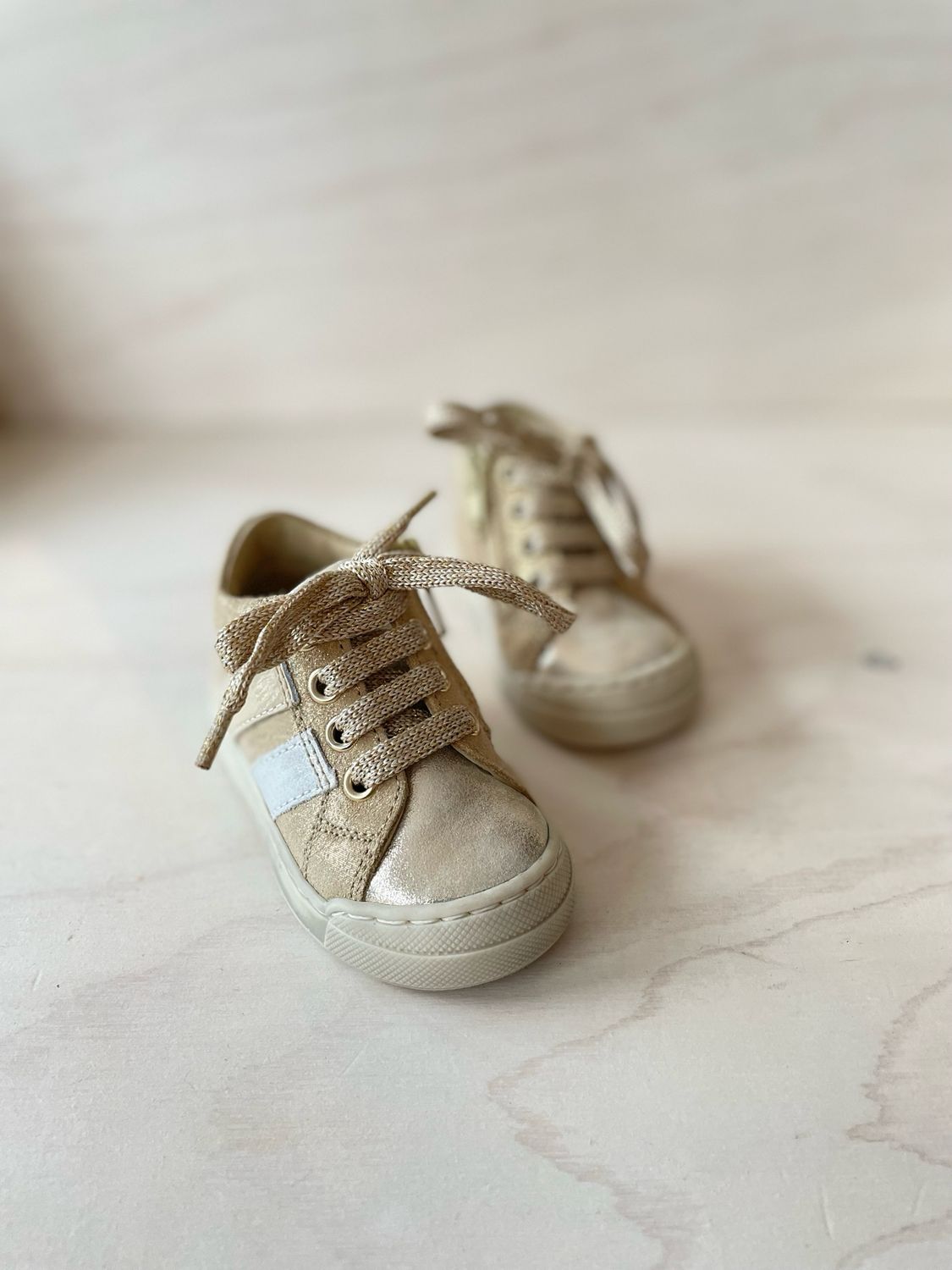 FALCOTTO - Sneaker Gazer Zip - Platinum White Milk