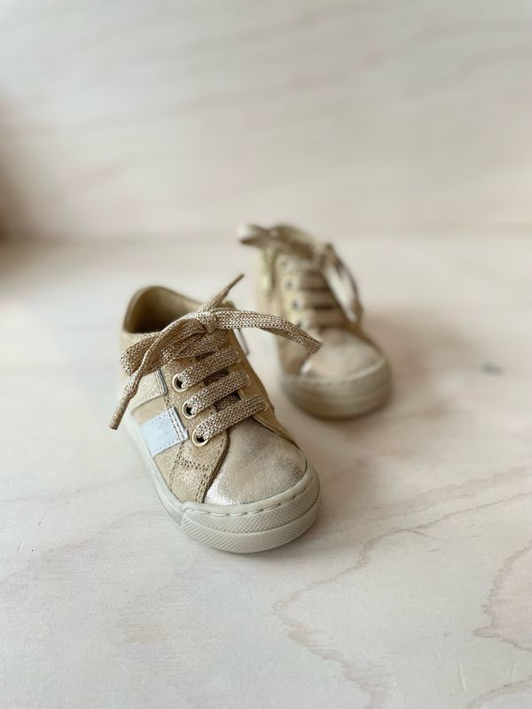 FALCOTTO - Sneaker Gazer Zip - Platinum White Milk