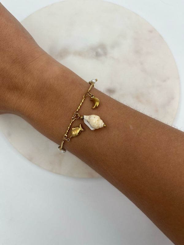 Shell Bracelet