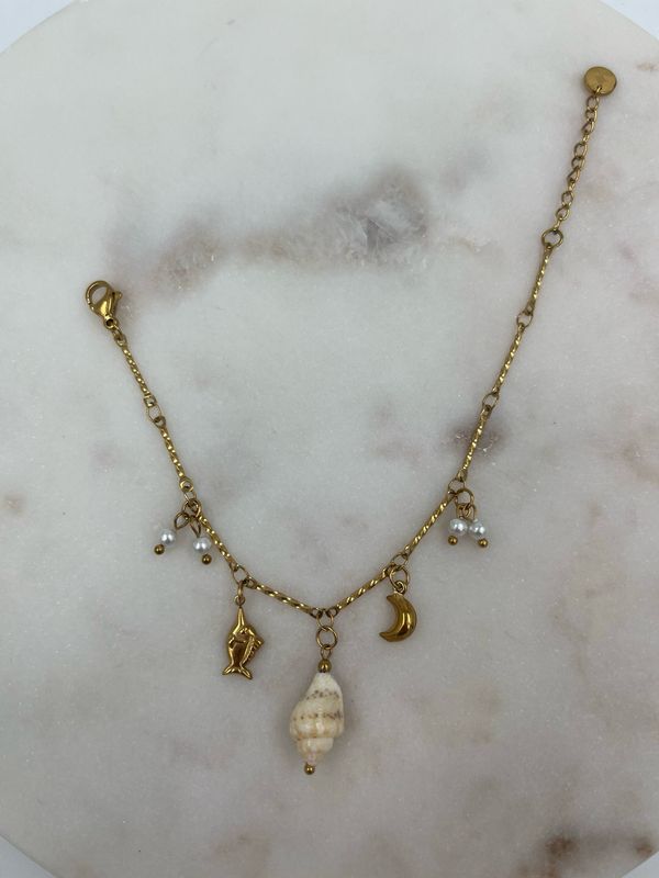 Shell Bracelet