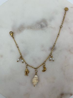 Shell Bracelet