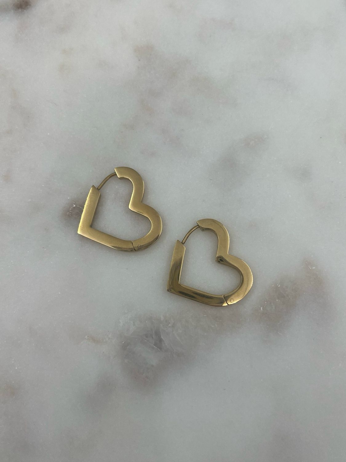 Heart Hoop Oorbellen