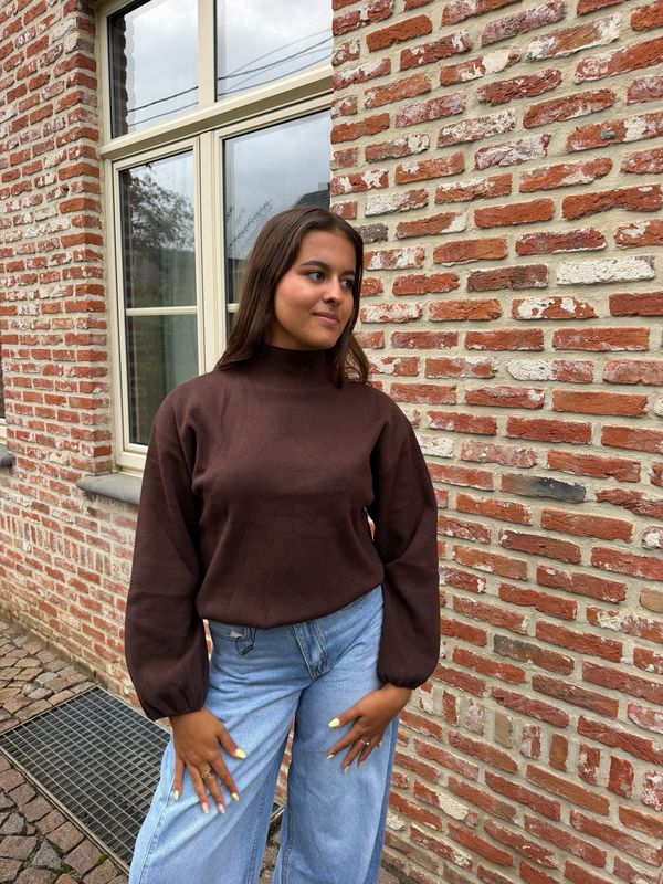 Brown Essential Sweater