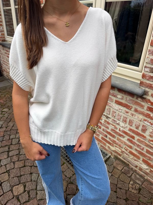 Soft V-Neck Knit Burgundy