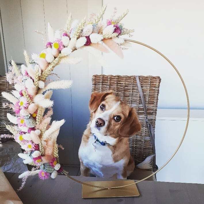 Hoepel met droogbloemen