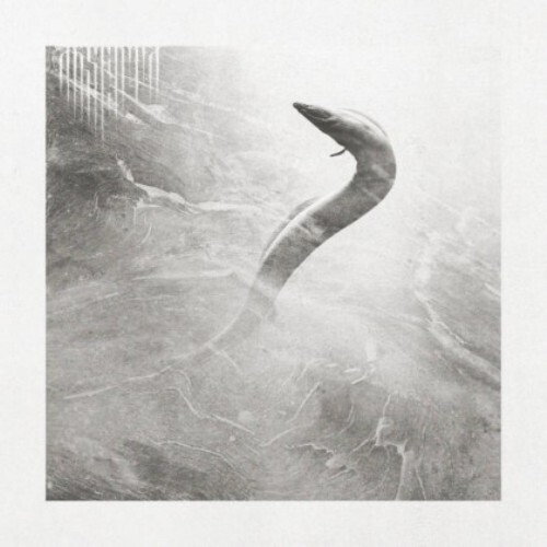 Absenta CD: Eel