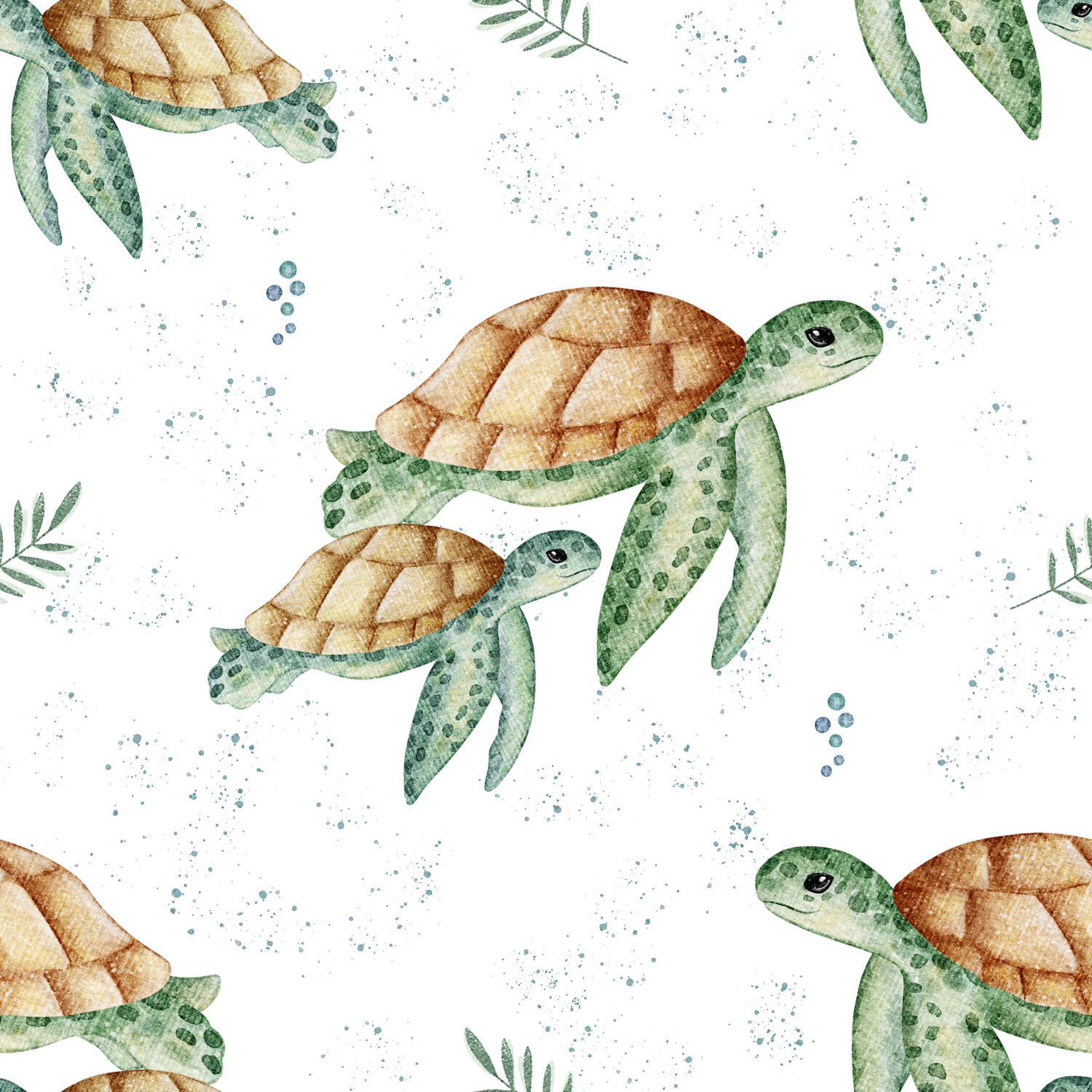 Boxpakje turtle