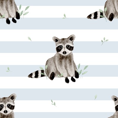 babybroekje raccoon