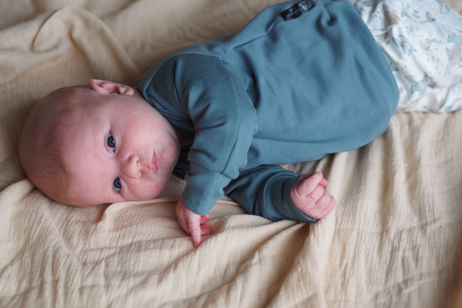 Sweater effen