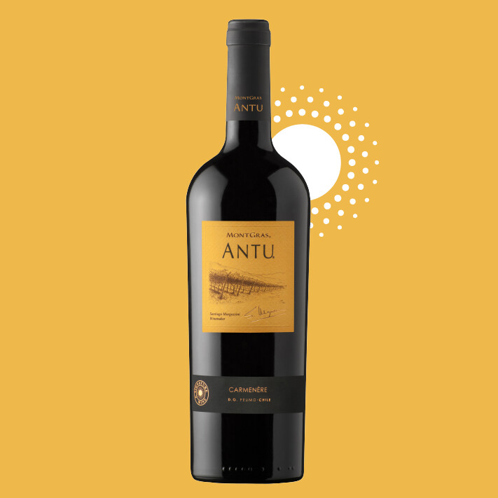 Montgras - Antu Range Carmenere