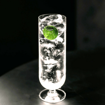 Recept Iced Gin - Iced Gin and Tonic