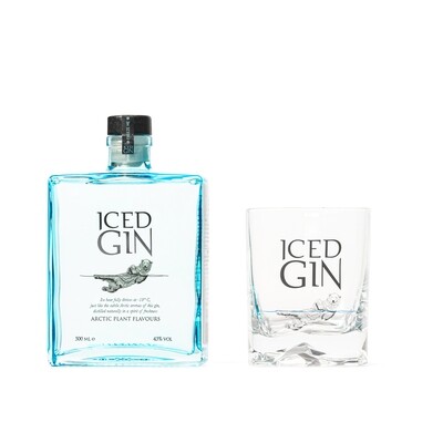 Verre ICED GIN
