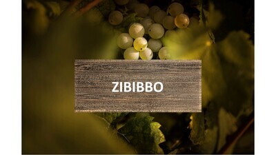 Zibibbo