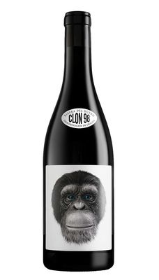CASA ROJO CLON 98 Tempranillo
