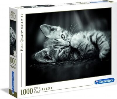 Clementoni puzzel kitten 1000 stuks