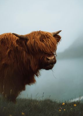 Schotse whisky