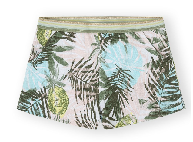 Canada House Short Multi color