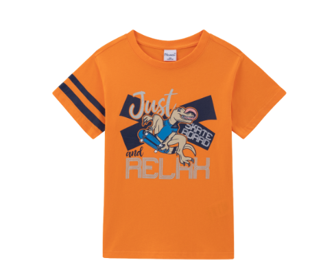 Newness Jongens t shirt Dino