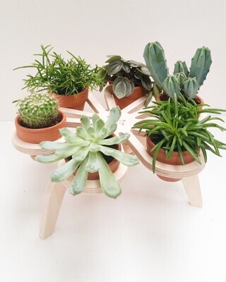 Bloemen / planten tafeltje - D 65.