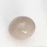 BALL.  14 MM.   BEIGE TORTORA
