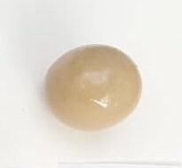 BALL  22 MM
BEIGE ARANCIO ANTICO
