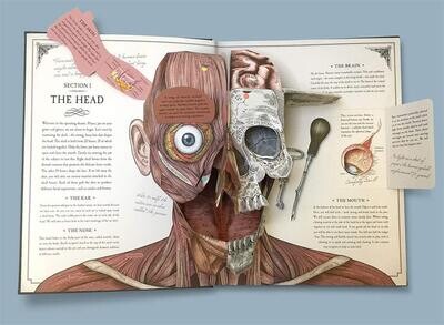 The Human Body: A Pop-Up Guide to Anatomy