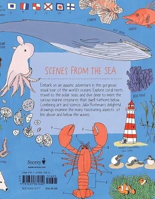 Ocean Anatomy: The Curious Parts &amp; Pieces of the World Under the Sea